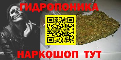 гидра Рузаевка