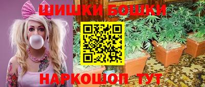 гидра Рузаевка