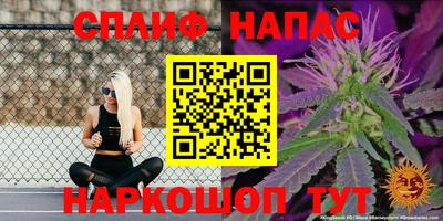 гидра Рузаевка