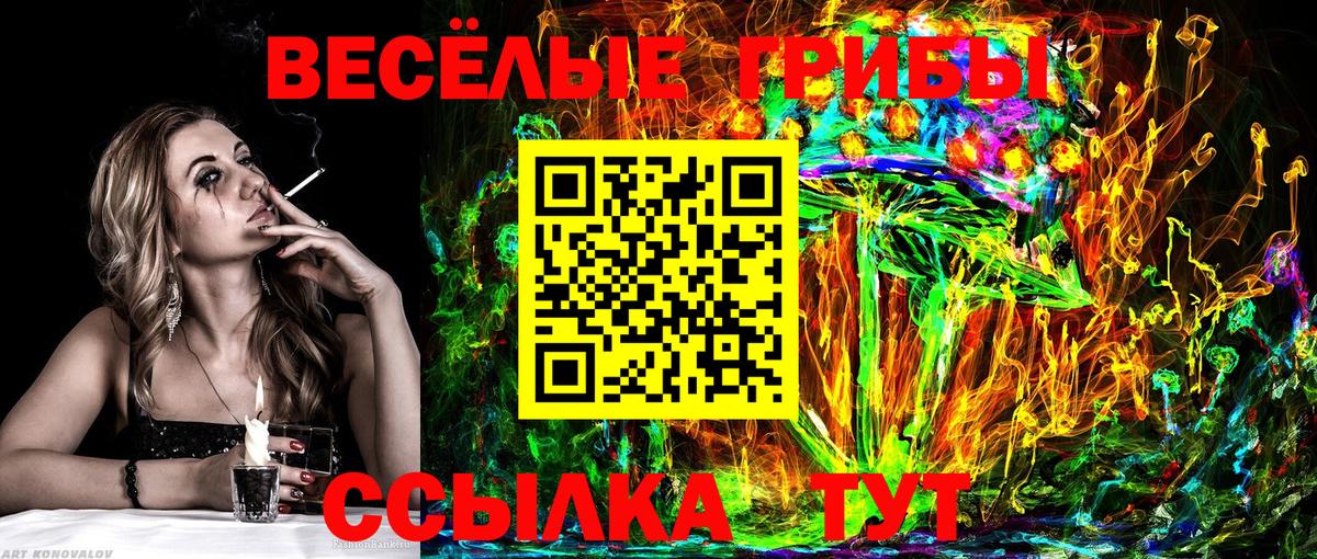 Галлюциногенные грибы прущие грибы Орехово-Зуево