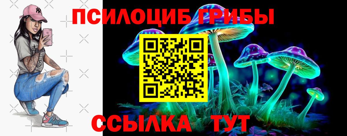 Галлюциногенные грибы GOLDEN TEACHER  Псилоцибиновые грибы GOLDEN TEACHER  Вход с VPN  Орехово-Зуево 